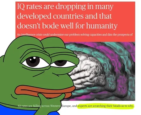 IQ Rates Are Dropping
