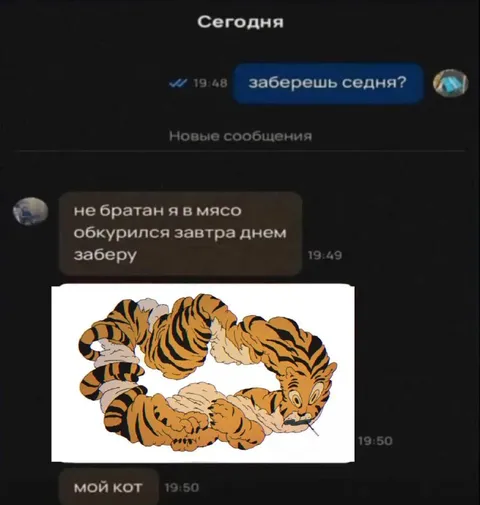 Мой кот заберёт седня