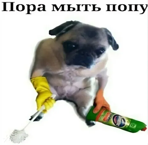 Пора мыть попу