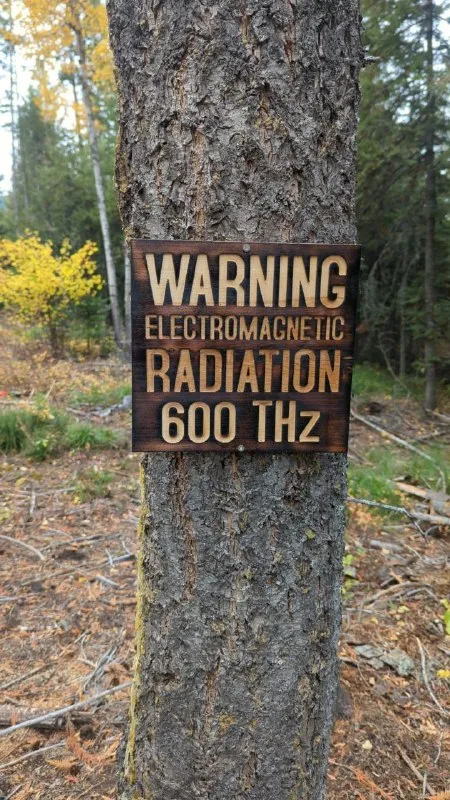 600 THz Forest Warning