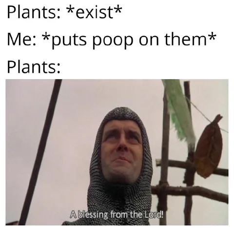 Plants Receive a Blessing