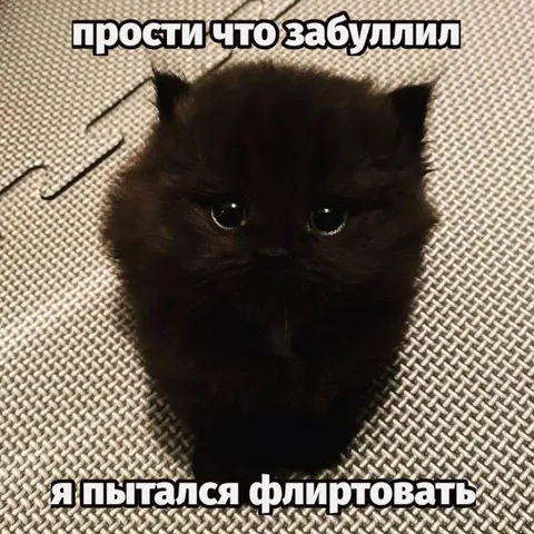 Кот пытался флиртовать