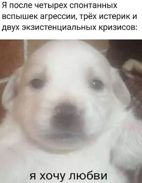 После эмоционального срыва хочется любви