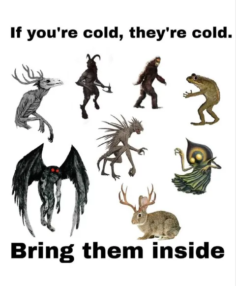 If You're Cold, They're Cold