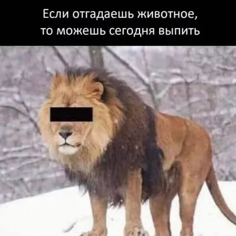 Угадай животное и выпей
