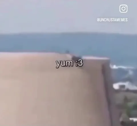 Excavator Eats the Wall