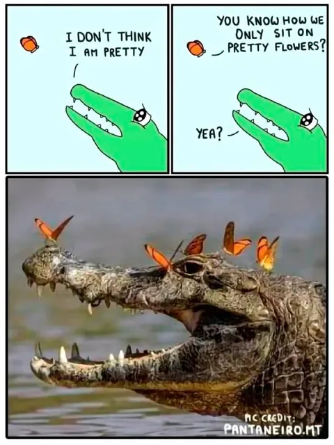 Crocodile Thinks It Is Pretty
