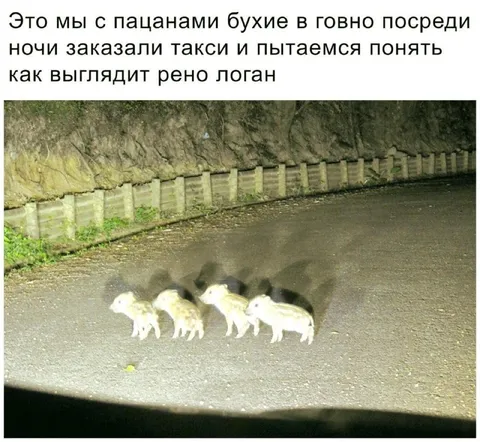 Пьяные пытаются узнать Рено Логан