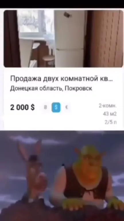 Квартира за 2000 долларов в Покровске