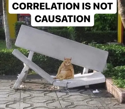 Correlation Is Not Causation Cat