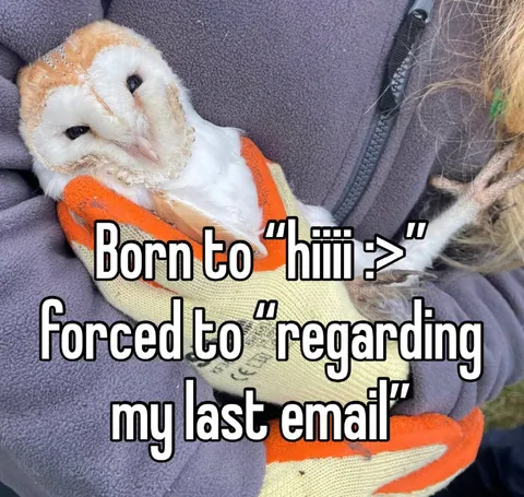 Born to Hiiii, Forced to Regarding
