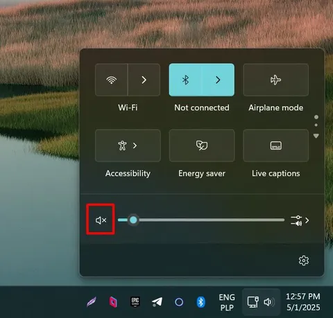 Windows Mute Button Screenshot