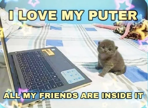 Kitten Loves My Puter
