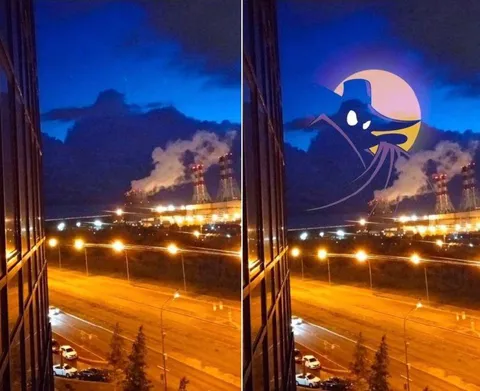 Тёмная утка над заводом