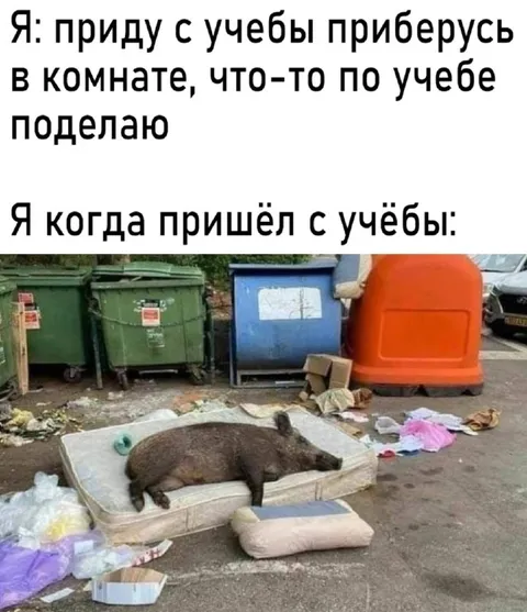 Пришёл с учёбы и лёг отдыхать