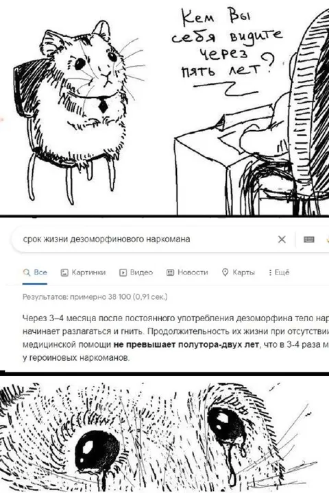 Кем вы себя видите через пять лет