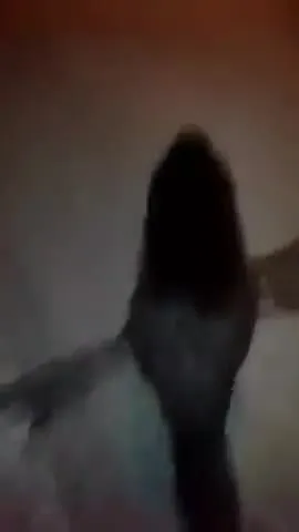 Bobry gryzą spodnie