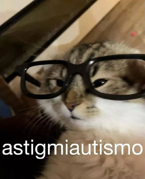 Astigmatismo cat with glasses