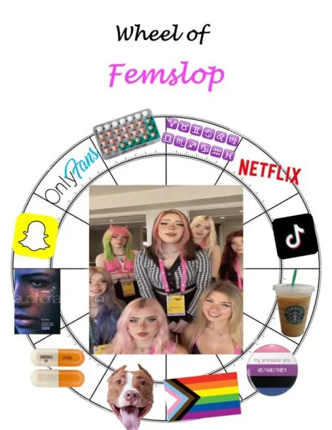 Wheel of Femslop
