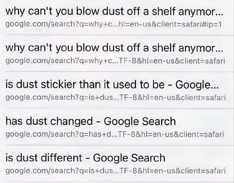 Google Searches About Dust