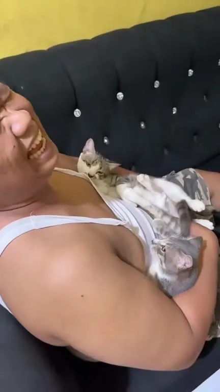 Мужчина смеётся с двумя котами