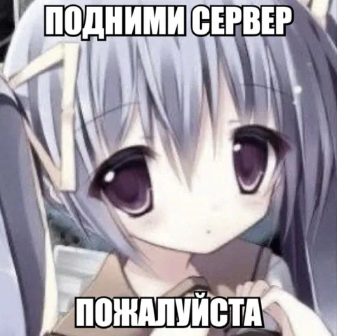Подними сервер пожалуйста