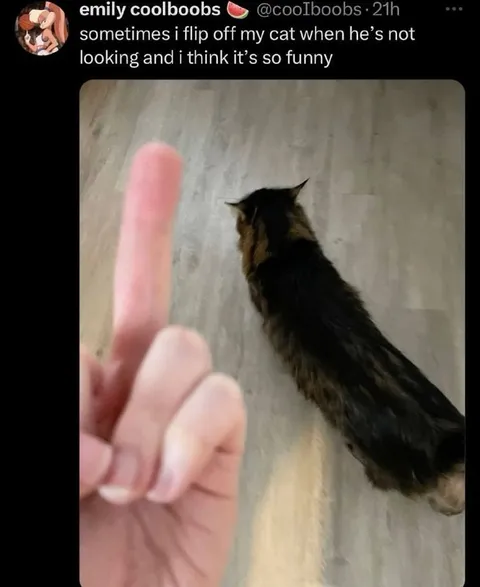 Flipping Off the Cat
