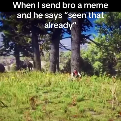 When Bro Has Seen the Meme