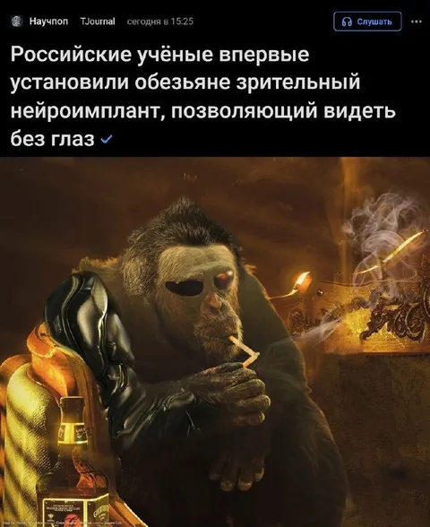 Обезьяна видит без глаз