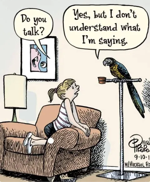Parrot Doesn’t Understand Itself