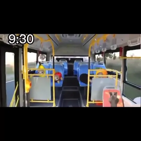 Автобус с сонными зверятами