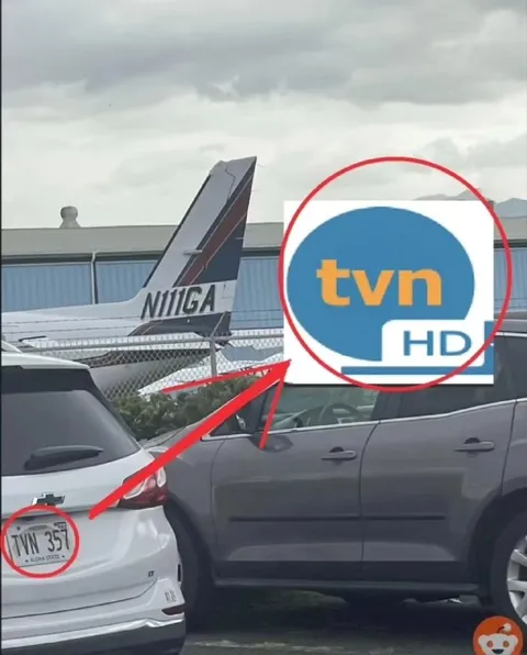 TVN Everywhere License Plate