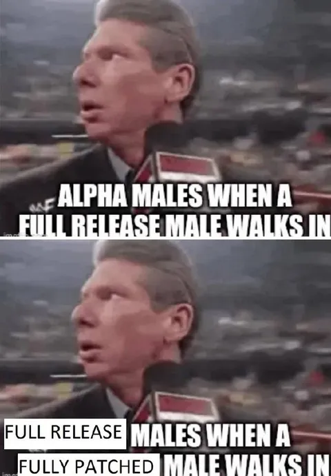 Alpha Males See a Fully Patched Male