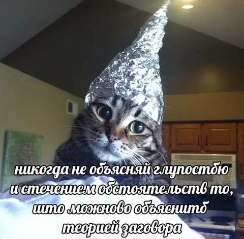 Кот в шапочке из фольги