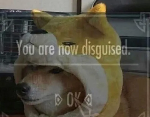 You Are Now Disguise