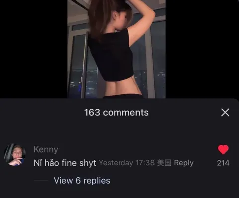 Fine Shyt Comment