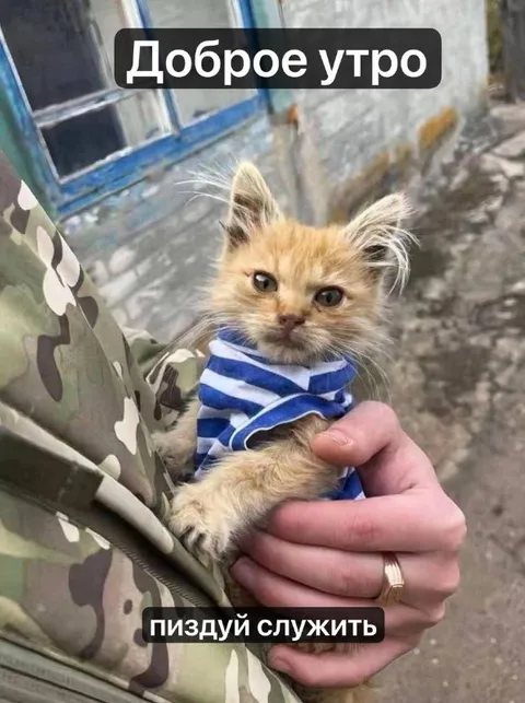 Доброе утро, пиздуй служить