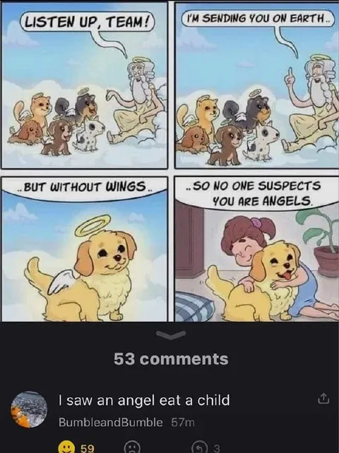 Angels Without Wings