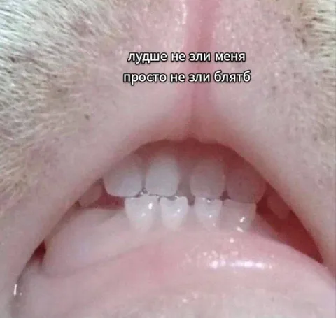 Лучше не зли меня