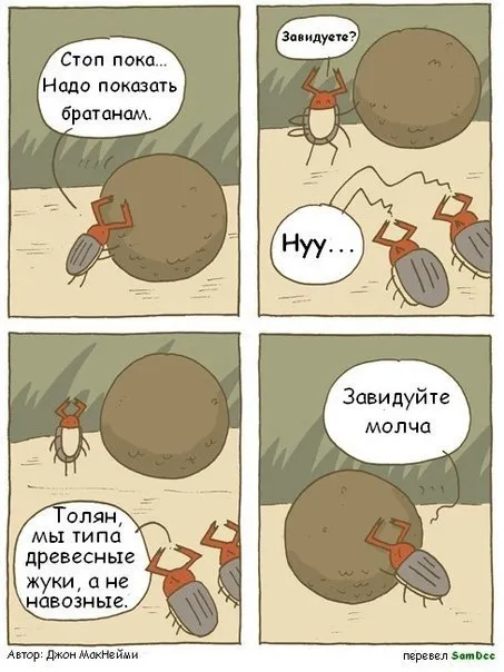 Древесные жуки и навозные жуки