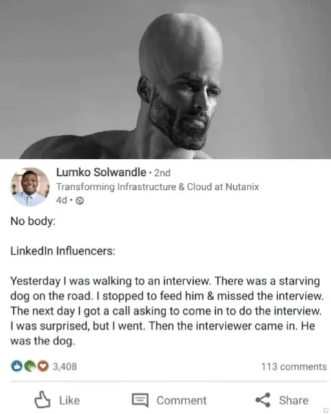 LinkedIn Influencer Dog Story