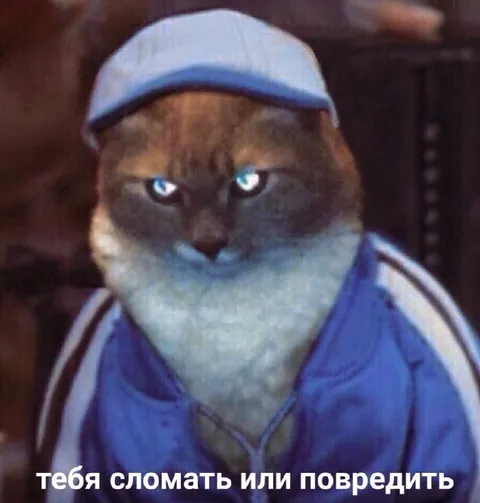 Тебя сломать или повредить