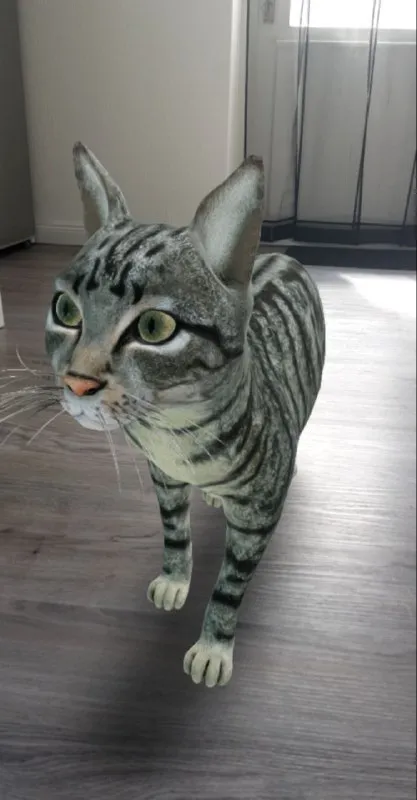 Очень странный кот
