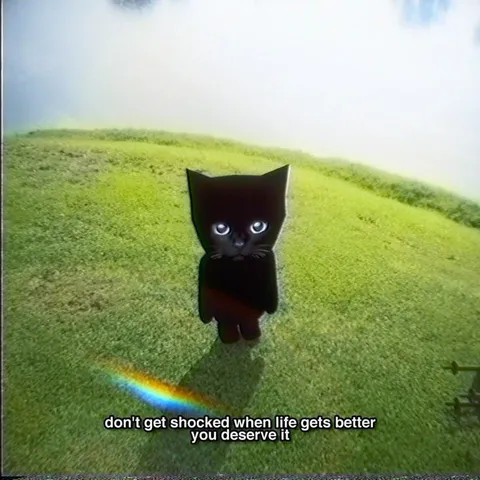 Black Cat Life Gets Better