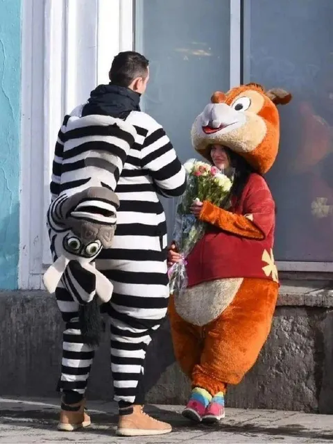 Зебра пришла на свидание