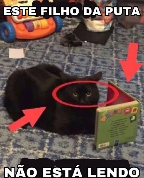 Gato fingindo que lê
