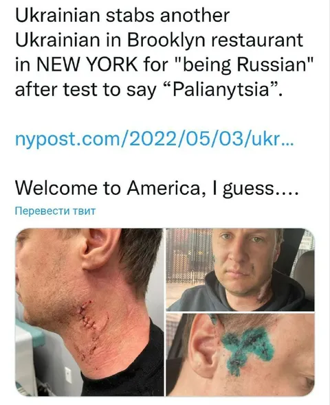 Ukrainian Language Purity Test
