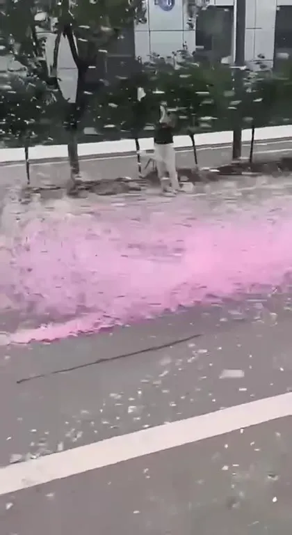 Розовый ливень на улицах города