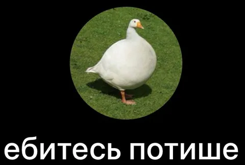 Ебитесь потише