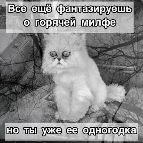 Фантазии о горячей милфе